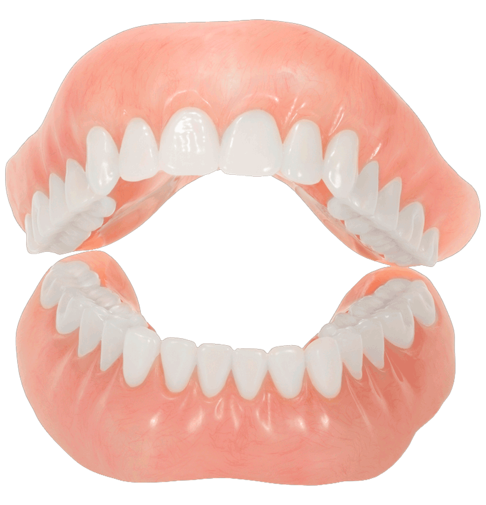 Denture model